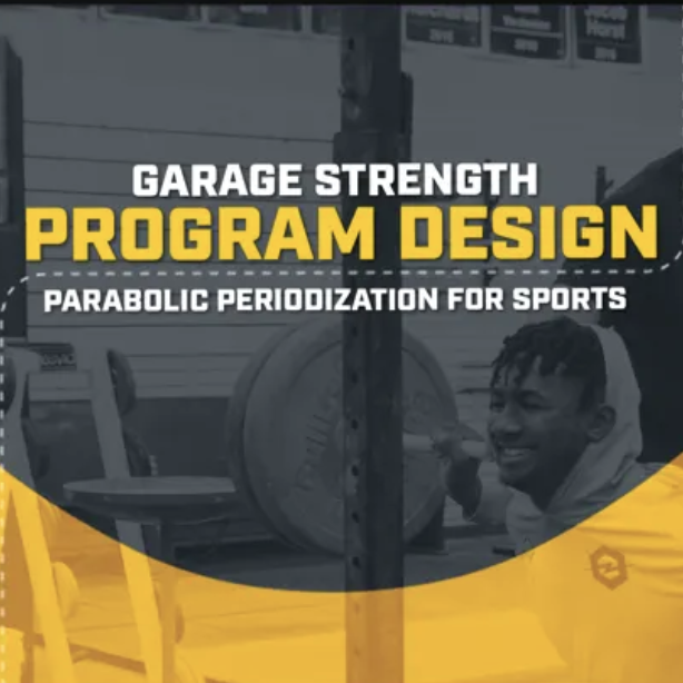 Garage Strength Program Design Dan Miller NLP.lib